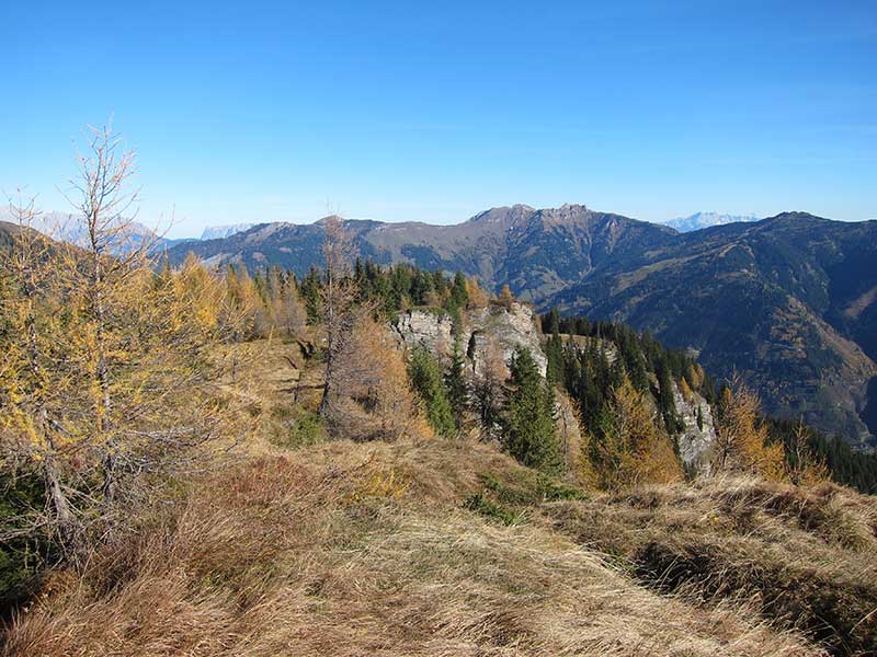 Schwarzwand